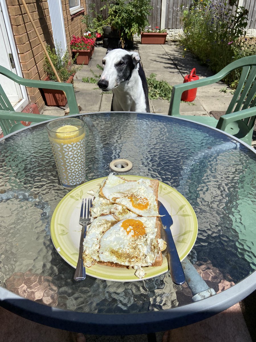 Its_GeorgeJames's tweet photo. Lunch was 4 fried eggs with feta on toast. Some ginger beer to with it.

Klaus approves https://t.co/BTXCcqPlEc