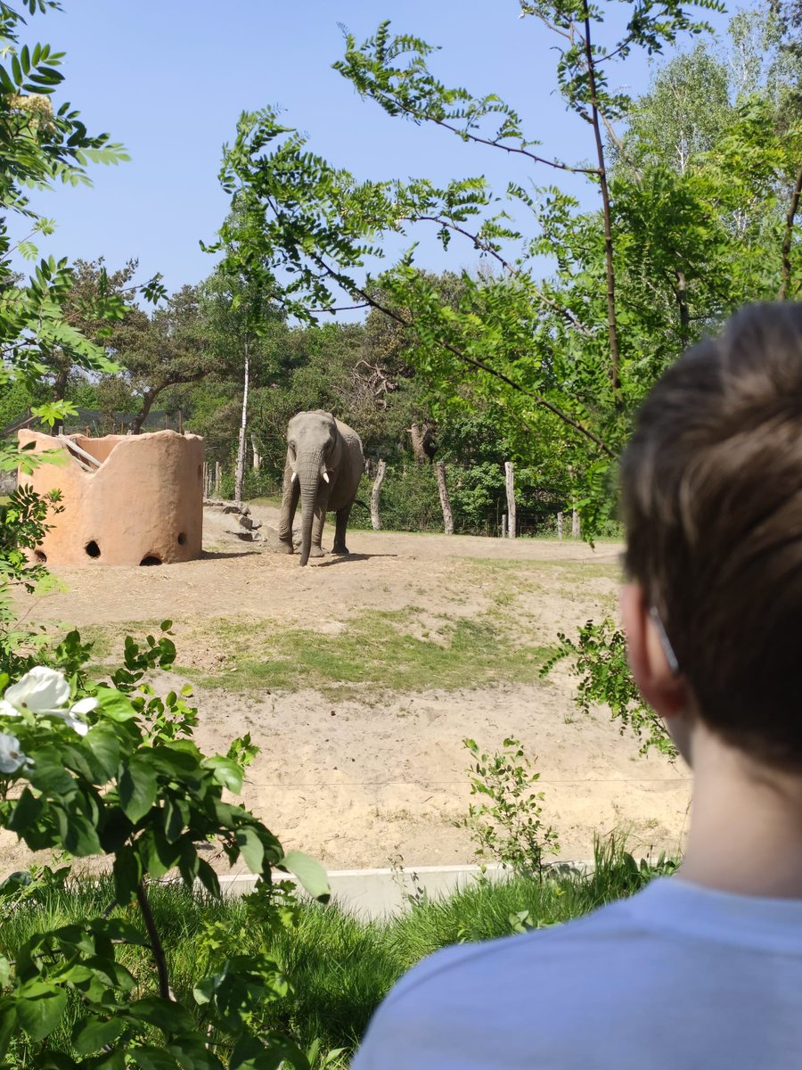 MrStanno_'s tweet image. Elephants! 🐘
