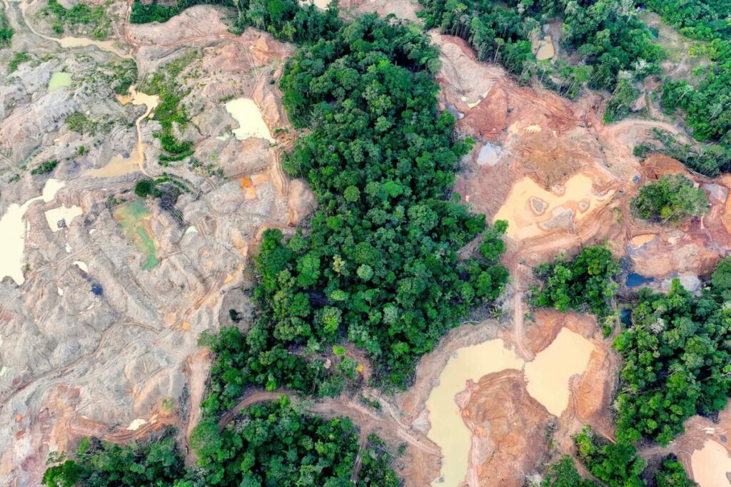 🔎Concesiones dan paso a minería ilegal en la #Amazonía: deforestación de bosques, contaminación de ríos y pueblos indígenas en aislamiento son los resultados.

👉avispa.org/?p=120001🐝

#Brasil #peru #latinoamerica #justiciaclimatica #racismoambiental #ddhh