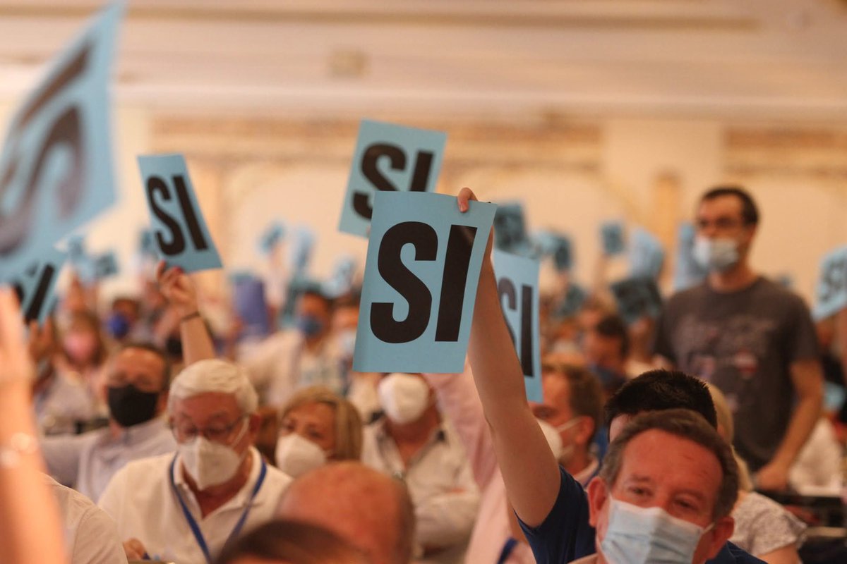 PPopularTo's tweet image. 🔵 Hoy se cumplen 4 años de la elección de @cvelazquezromo como presidente del @PPopularTo. 

Gobernamos en la Diputación, en Toledo capital y en la mayoría de municipios de la provincia, trabajando cada día para mejorar la vida de nuestros vecinos.

¡Gracias por la confianza!