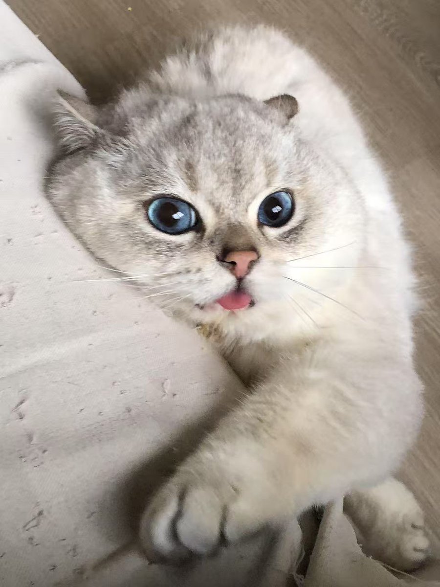 两个孩子的爸爸