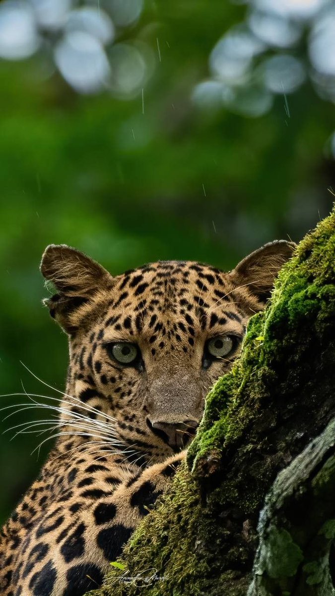 Gabriel M11 (@gabriel83261555) on Twitter photo Noon Gains💫✨️✅️💯
Follow All
<a href="/Gabriel99__M/">Gabriel M11</a>
<a href="/Angelofwar00/">Admire Kadembo</a>
<a href="/soste1M/">Sos10</a>
<a href="/sosoflezy/">Soso💕💕</a>
<a href="/end3of6days9/">End3of6Days9 (Helen) 🇺🇸</a>
<a href="/Taps26_3/">Sir Taps</a>
<a href="/muyambo_zw/">MushonaWekuBulawayo🐬</a>
<a href="/KentoddyM/">Kentoddy</a>
@babyworkes
<a href="/AlnerJosh/">UKCrypto🇬🇧</a>
<a href="/chairmoroel/">isthemoro👑🇬🇭</a>
<a href="/AmosApodei/">Amos</a>
<a href="/mkomaronix/">Ronix</a>
<a href="/staneve02/">MuKoMaNa WeMaDeAls🇿🇼(stanaz)</a>
<a href="/Patie_Mahamba/">TheeLionessZw🦁🇿🇼</a>
<a href="/BossG_Spectre/">BossG🇿🇼</a>
<a href="/xKaprice/">BlondeAndTall🇺🇸🌟</a>
<a href="/Mr_Khepo/">Ijo Bhejo</a>
FB confirmed Noon Gains💫✨️✅️💯
Follow All
<a href="/Gabriel99__M/">Gabriel M11</a>
<a href="/Angelofwar00/">Admire Kadembo</a>
<a href="/soste1M/">Sos10</a>
<a href="/sosoflezy/">Soso💕💕</a>
<a href="/end3of6days9/">End3of6Days9 (Helen) 🇺🇸</a>
<a href="/Taps26_3/">Sir Taps</a>
<a href="/muyambo_zw/">MushonaWekuBulawayo🐬</a>
<a href="/KentoddyM/">Kentoddy</a>
@babyworkes
<a href="/AlnerJosh/">UKCrypto🇬🇧</a>
<a href="/chairmoroel/">isthemoro👑🇬🇭</a>
<a href="/AmosApodei/">Amos</a>
<a href="/mkomaronix/">Ronix</a>
<a href="/staneve02/">MuKoMaNa WeMaDeAls🇿🇼(stanaz)</a>
<a href="/Patie_Mahamba/">TheeLionessZw🦁🇿🇼</a>
<a href="/BossG_Spectre/">BossG🇿🇼</a>
<a href="/xKaprice/">BlondeAndTall🇺🇸🌟</a>
<a href="/Mr_Khepo/">Ijo Bhejo</a>
FB confirmed