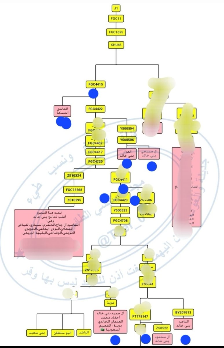 عادل آل عرعر (عریعر) الخالدي tweet media