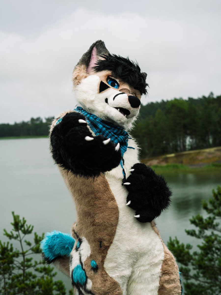 Take my paw, I'll take you to the weekend because it's #FursuitFriday ✨

🪡:<a href="/Kloofsuits/">Kloofsuits</a>

#fursuit #furry