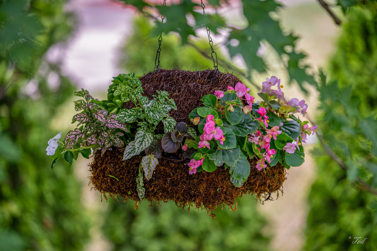 Floral Friday. 
Happy Friday!!!  Sending you some floral cheer to brighten your day.💐