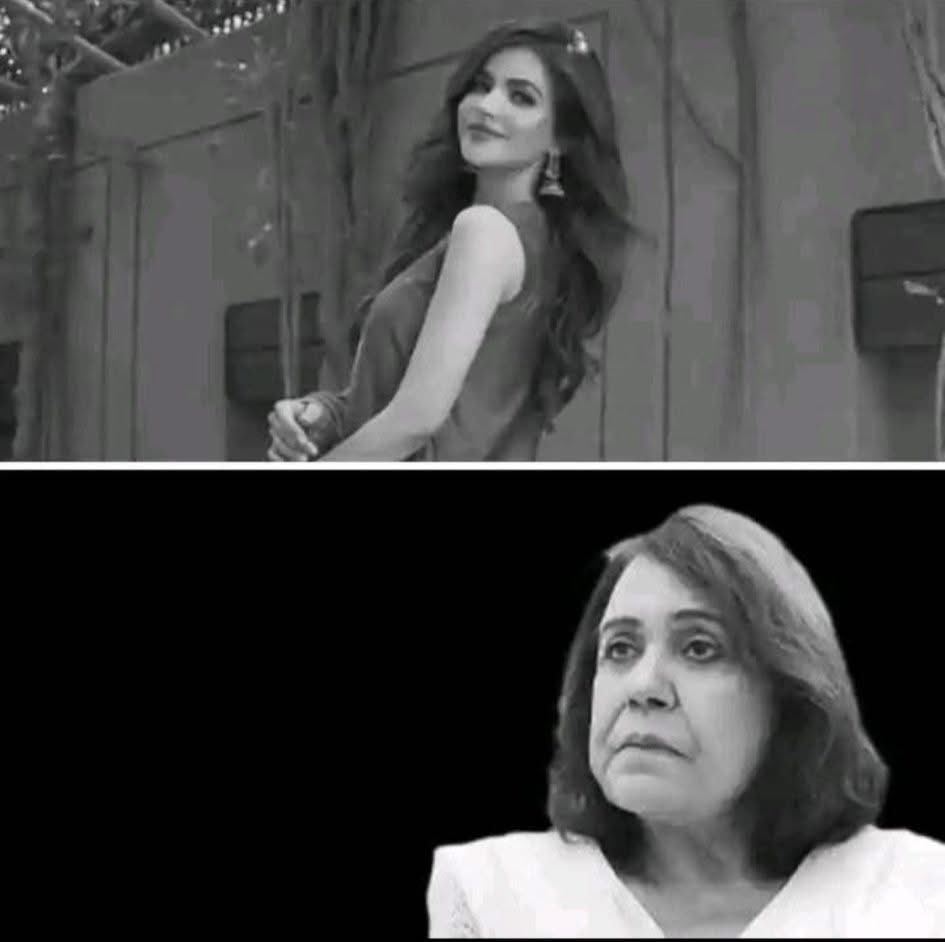 بڑے بول بولنے سے بچنا ہی اچھا ۔۔۔ 
کوئی اکیلے رہتے رہتے وفات پاگیا ، کسی کو ماں باپ نے دھتکار دیا ، کسی کی اولاد نافرمان نکلی,اپنی مرضی سے شادی کرلی۔ 
ان تمام واقعات سے زیادہ سے زیادہ بس عبرت لی جاسکتی ہے ، اس کے علاوہ ان پر بولنے خصوصا بڑے بول بولنے یا بے رحم اور بے لاگ تبصرہ