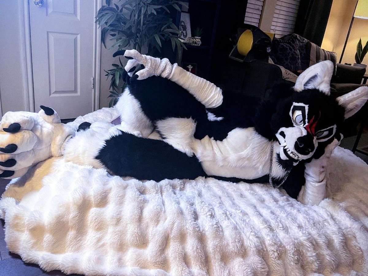 Who would join in the bed for cuddles?  😈

📸: <a href="/ricobarkss/">R.I.C.O</a>