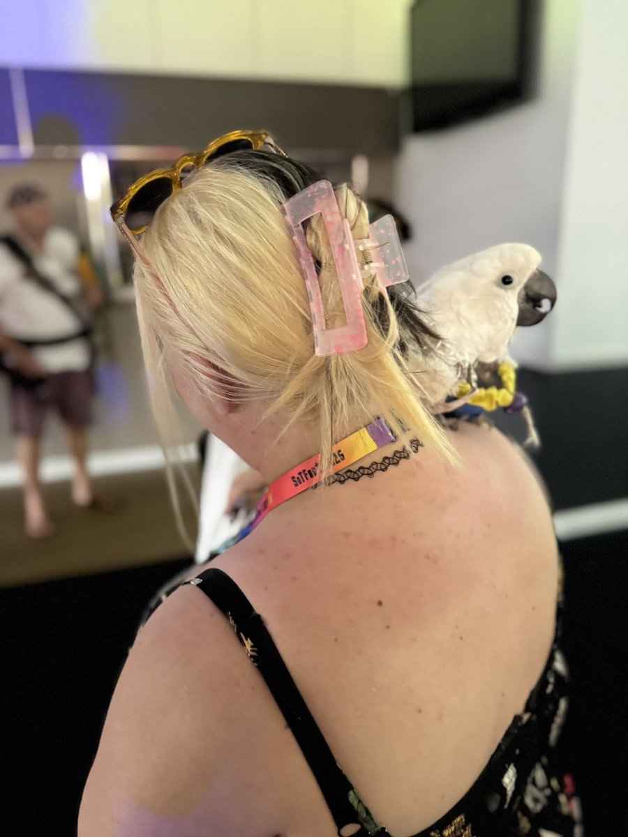 TasherrToxic's tweet image. #SoTFest2025 is well under way🤍