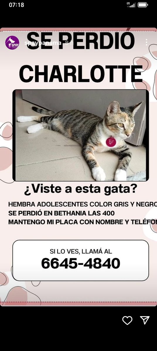 <a href="/labigottes/">Clubdegatospanama, Labigotes y colita</a> <a href="/sarat1165/">Sara Rugliancich</a> <a href="/SeferinaMelgar/">Seferina Melgar</a> <a href="/edithfirst22/">Mélida 🌺🐾💐</a> <a href="/dayra_icaza/">dayra icaza</a> <a href="/fundasispma/">Fundación San Francisco de Asís ( FUNDASIS )</a> <a href="/ivetteodalys/">Ivette Berrio</a> <a href="/heramito/">Yira Lopez De Leon</a> <a href="/LP19732/">LP1973</a> <a href="/PatasyPies/">Patas y Pies</a> <a href="/PatasPanama/">Patas Panama</a> <a href="/corazonconhuell/">Corazon Con Huellas</a> <a href="/mascotaspanama/">mascotas panama</a>