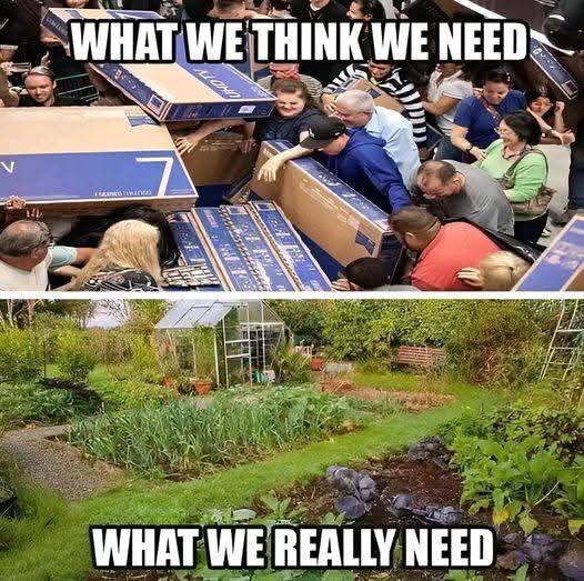 Wim den Oudsten (@wimdenoudsten) on Twitter photo 