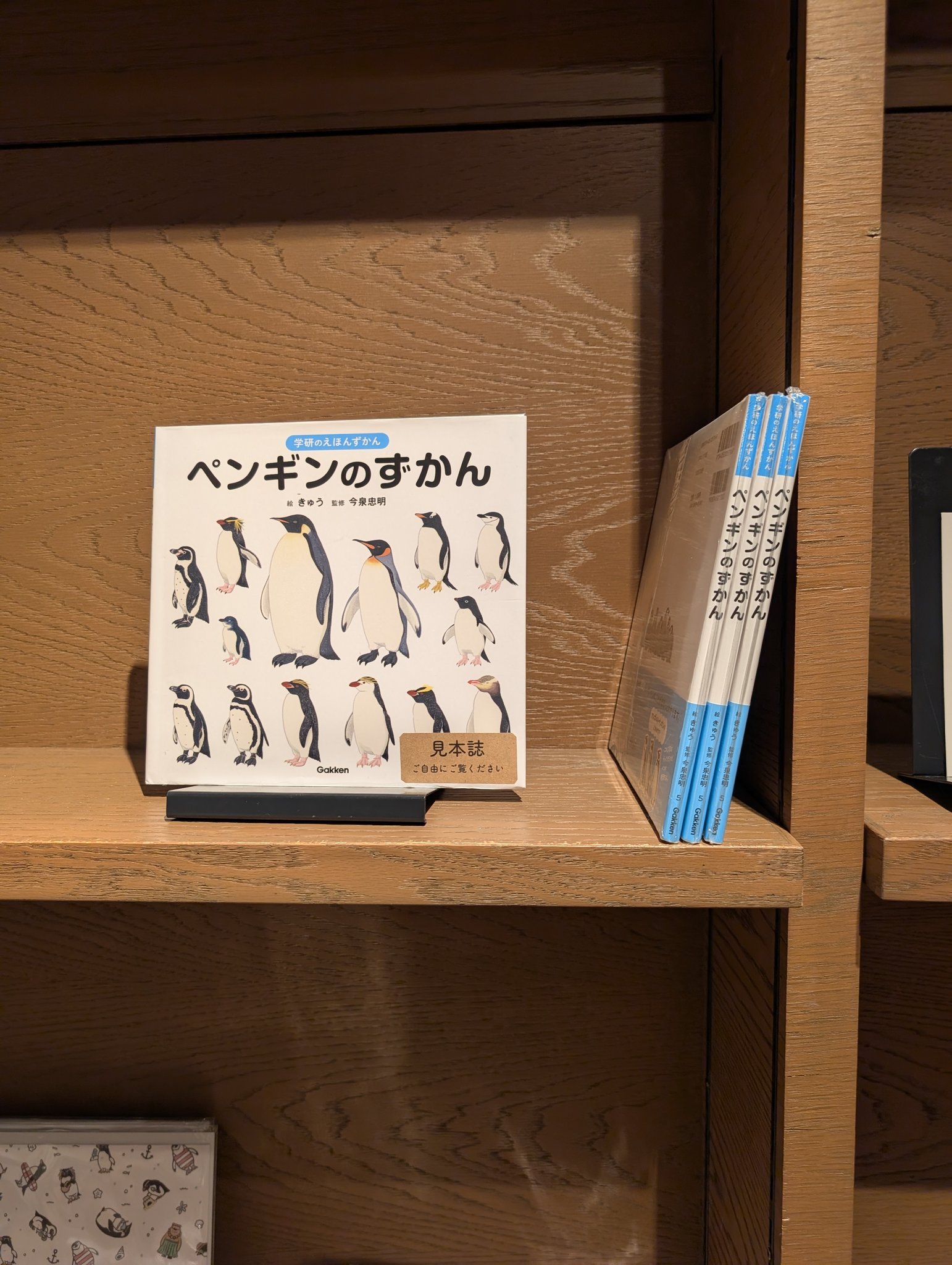 ペンギンバザール on X: 