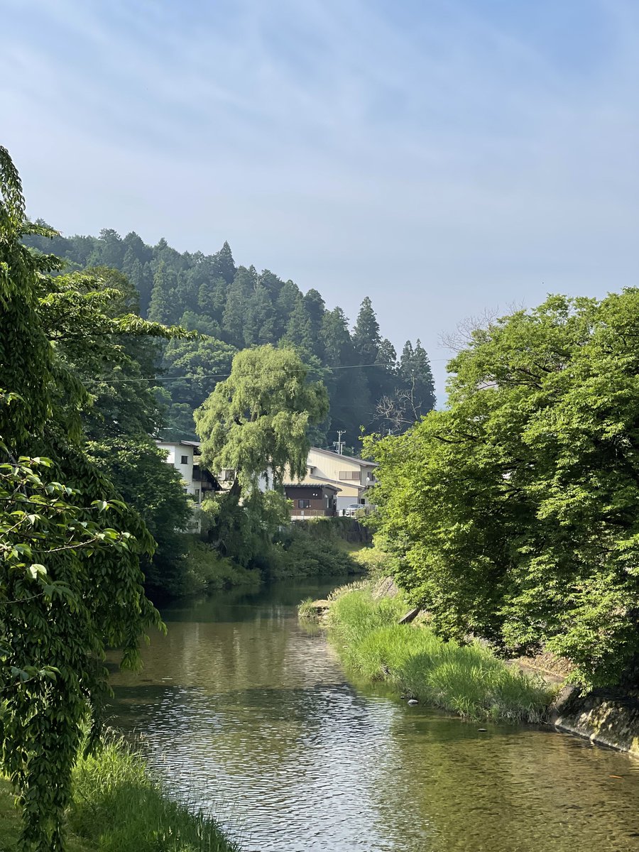 tenderuin's tweet image. i walked around and basked in the warmth of early summer in hida takayama