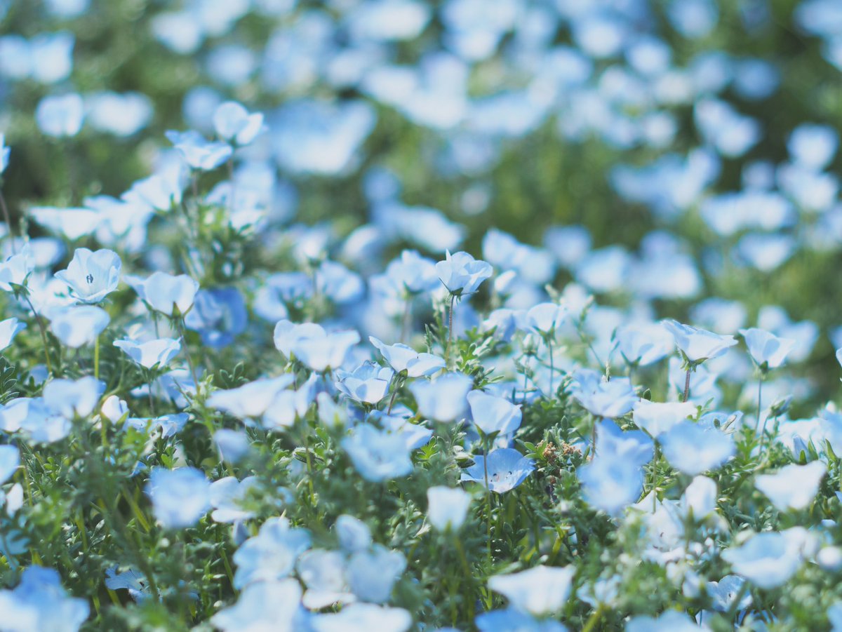 #ファインダー越しの私の世界
#写真好きな人と繋がりたい

💠