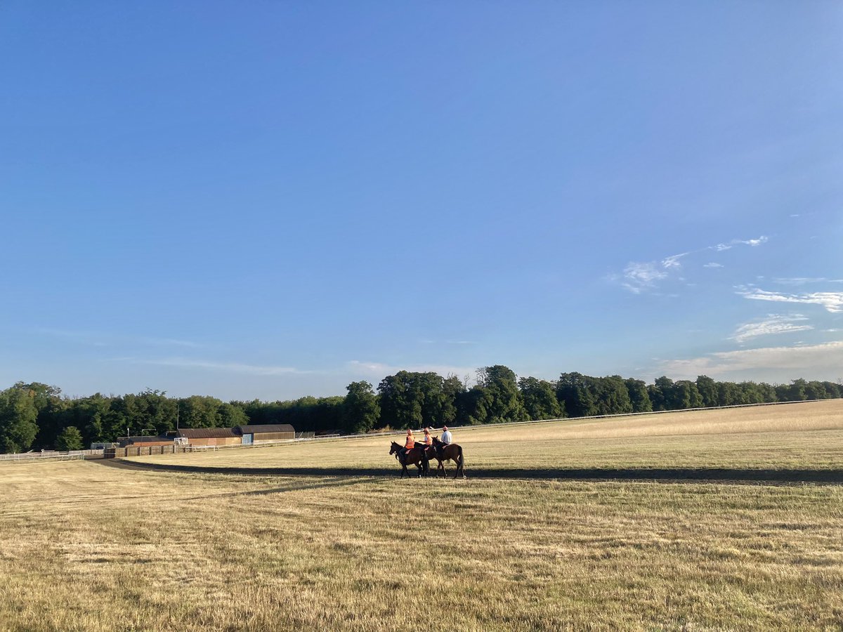 John Berry tweet media