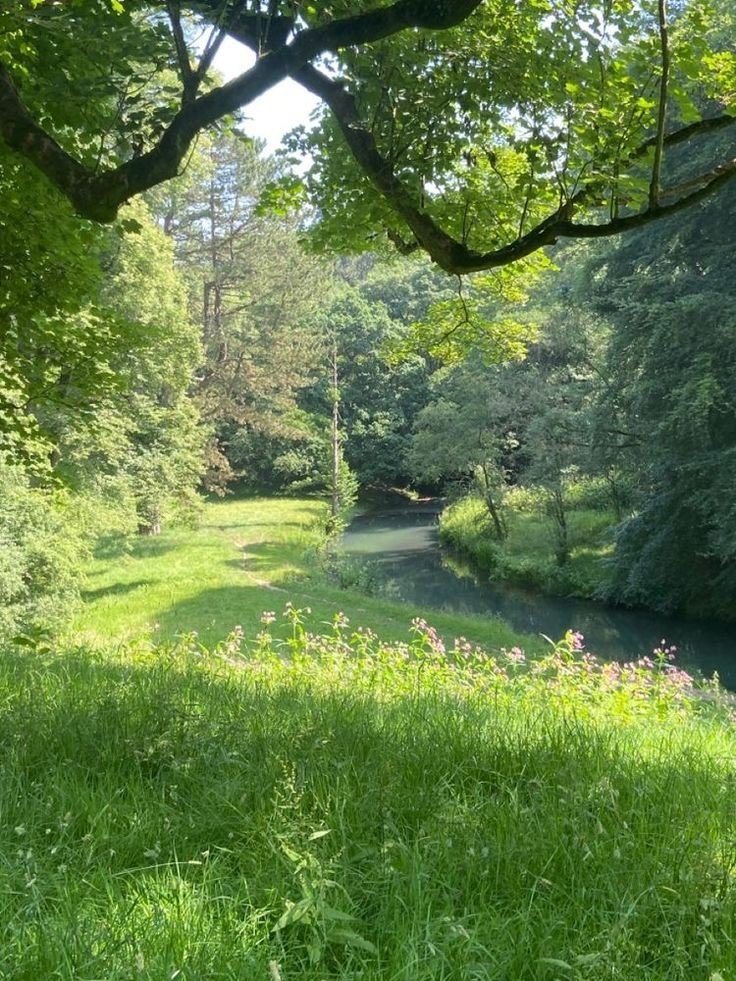 earthcurated's tweet image. fresh, quiet, alive.
