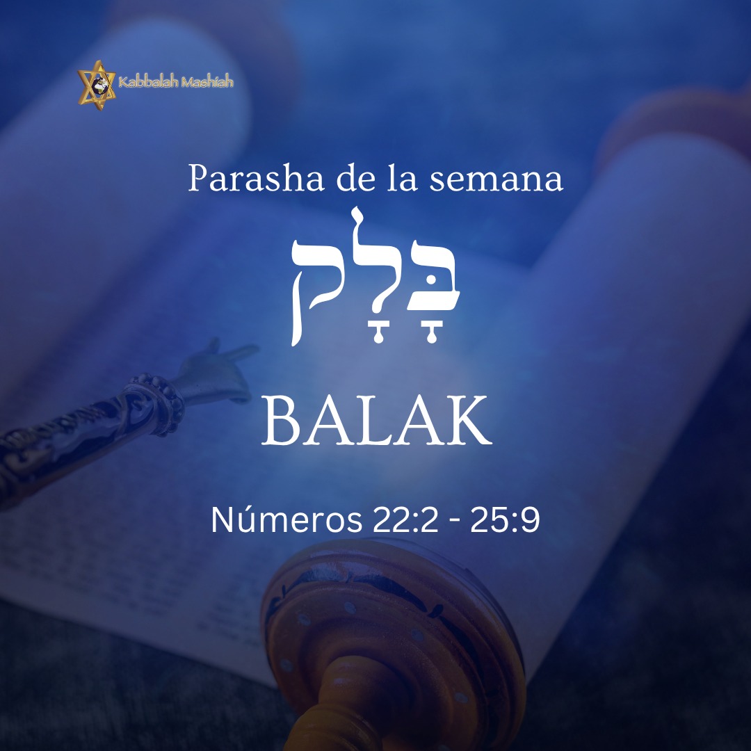 Este Shabbat se lee la Parasha: BALAK.  
 
"Todo aquel que se entrega al estudio de los secretos del Cielo (Zohar), y hace descubrimientos de nuevos secretos (Jidushim), sus palabras son transmitidas a los Justos del Jardín del Edén que vienen a visitarle.
Esos Jidushim son