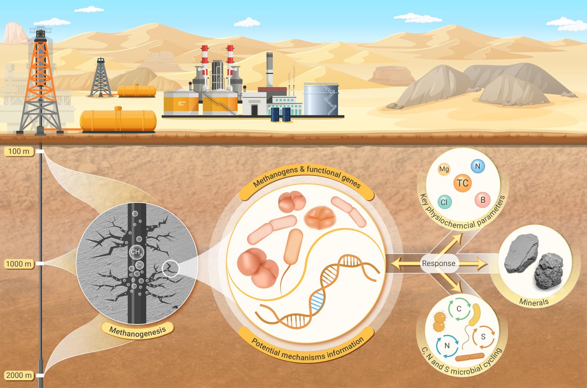 Innov_Geosci's tweet image. Response of methanogenesis to the local environment along a 2.0-km deep Quaternary Saline Lacustrine Source Rocks. Read more doi.org/10.59717/j.xin…
#Geosciences #TIC2025