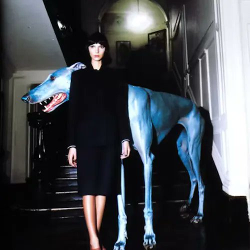 SuperRare Bot ๐ (@superrarebot) on Twitter photo โง The Hallway โง
by <a href="/stephanvasement/">Stephan Vasement</a>
SOLDโด
to 0x843...FB41 for 0.135 ETH ($402.52)
$RARE โง The Hallway โง
by <a href="/stephanvasement/">Stephan Vasement</a>
SOLDโด
to 0x843...FB41 for 0.135 ETH ($402.52)
$RARE