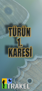 Uzun zaman sonra sitemize türün 1. karesi düştü. Hakkari'de türü bulan üyelerimizi tebrik ediyoruz. 
5 sefer gidip bulamadığım türlerdendi. :)
trakel.org/kelebekler/?fs…