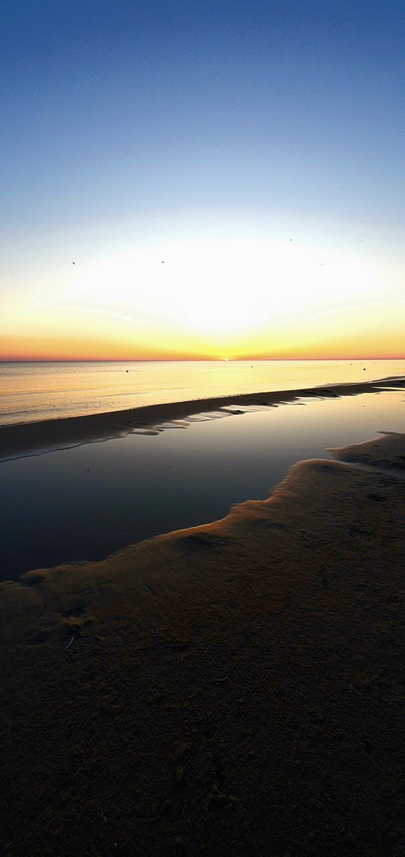 Dorota Z 🍀🇵🇱🇪🇺🏳️‍🌈😷⚡ tweet media