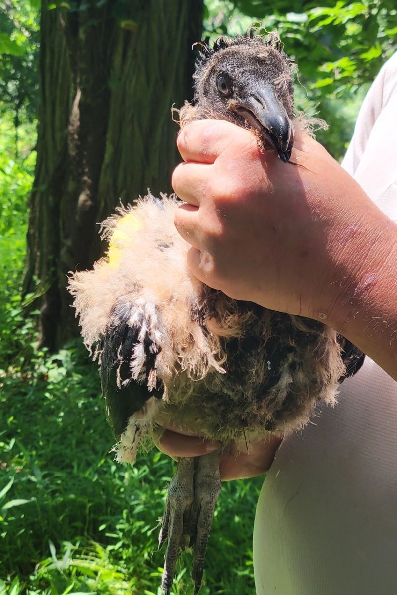 Monmouth County Park System tweet media