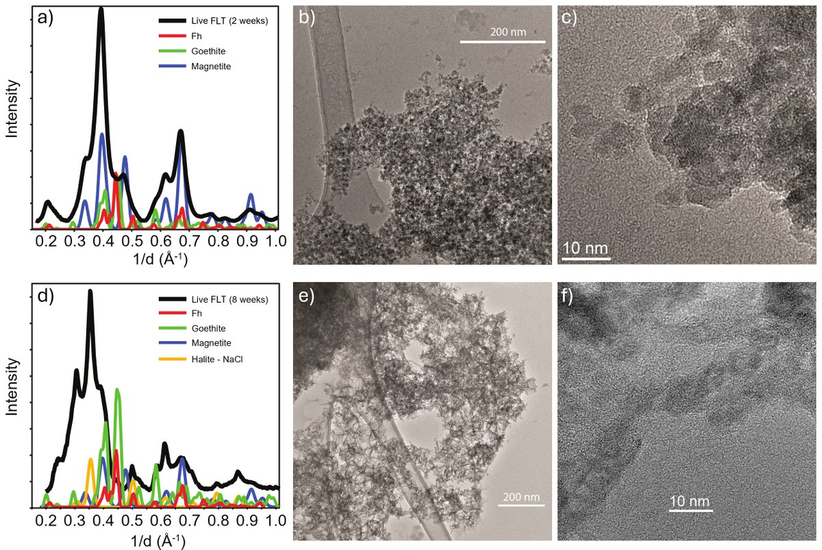 AppEnvMicro's tweet image. Mikucki & team identified biosignatures associated with iron reduction in a Shewanella sp. isolated from Antarctica. Growth experiments with extremophiles can bring new insights into techniques to find extant or extinct life on other worlds. @UTKnoxville
journals.asm.org/doi/10.1128/ae…