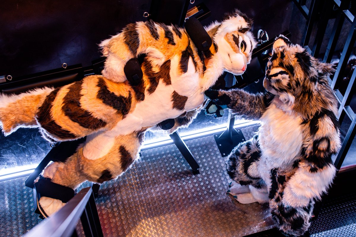 Crank🗜️  #FursuitFriday 

📸: <a href="/wolfroof/">うぇあ/ware</a> 
⛓️: <a href="/redstudiobkk/">RED Studio</a>