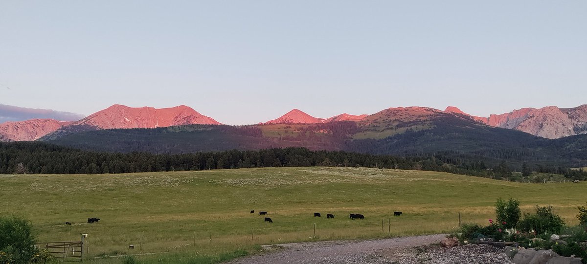 44Bridger's tweet image. 4 days of sunshine coming up should be enough to wrap up the baling. Wifey finished cutting the hay last night.