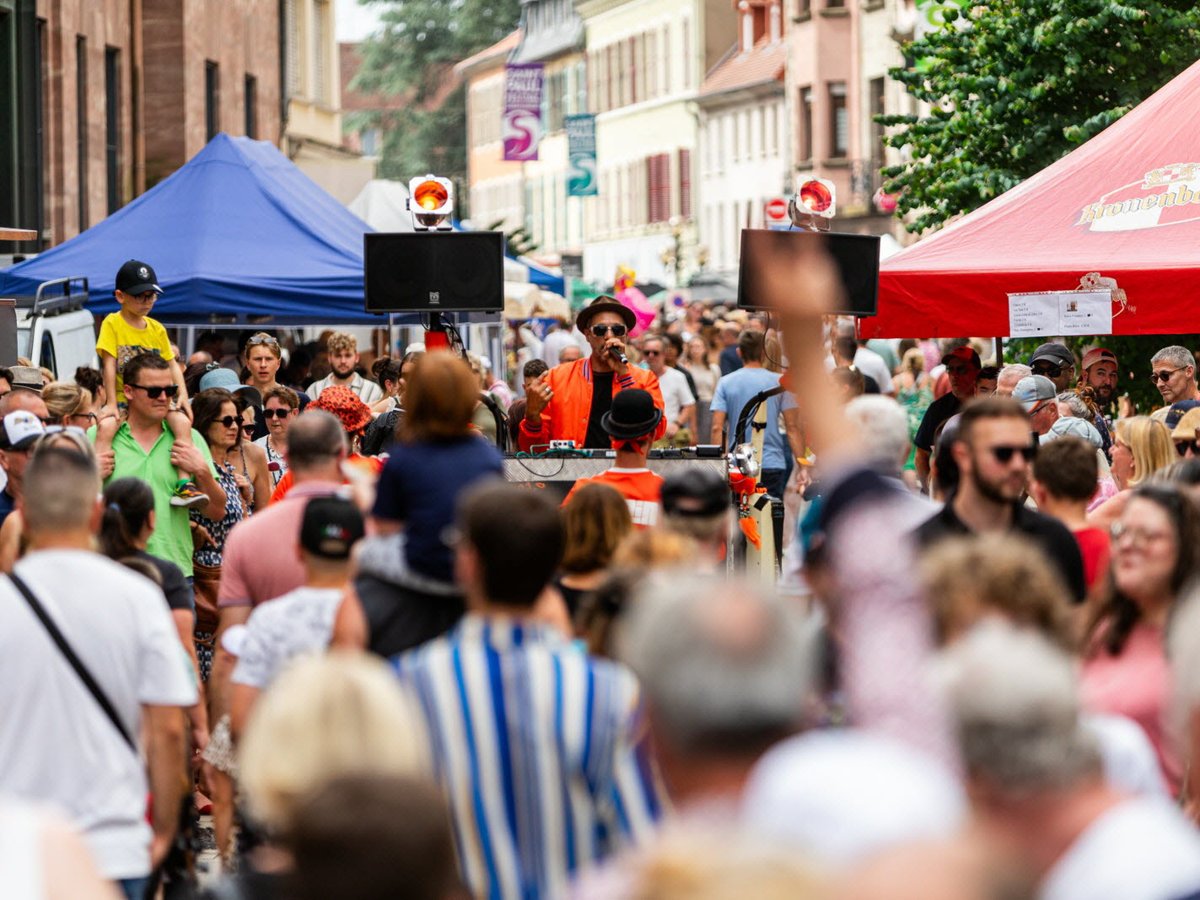 F_Desouche's tweet image. Agression sexuelle lors de la Fête de la musique à Sarreguemines (57) : un migrant algérien en situation irrégulière condamné
 fdesouche.com/2025/07/11/agr…