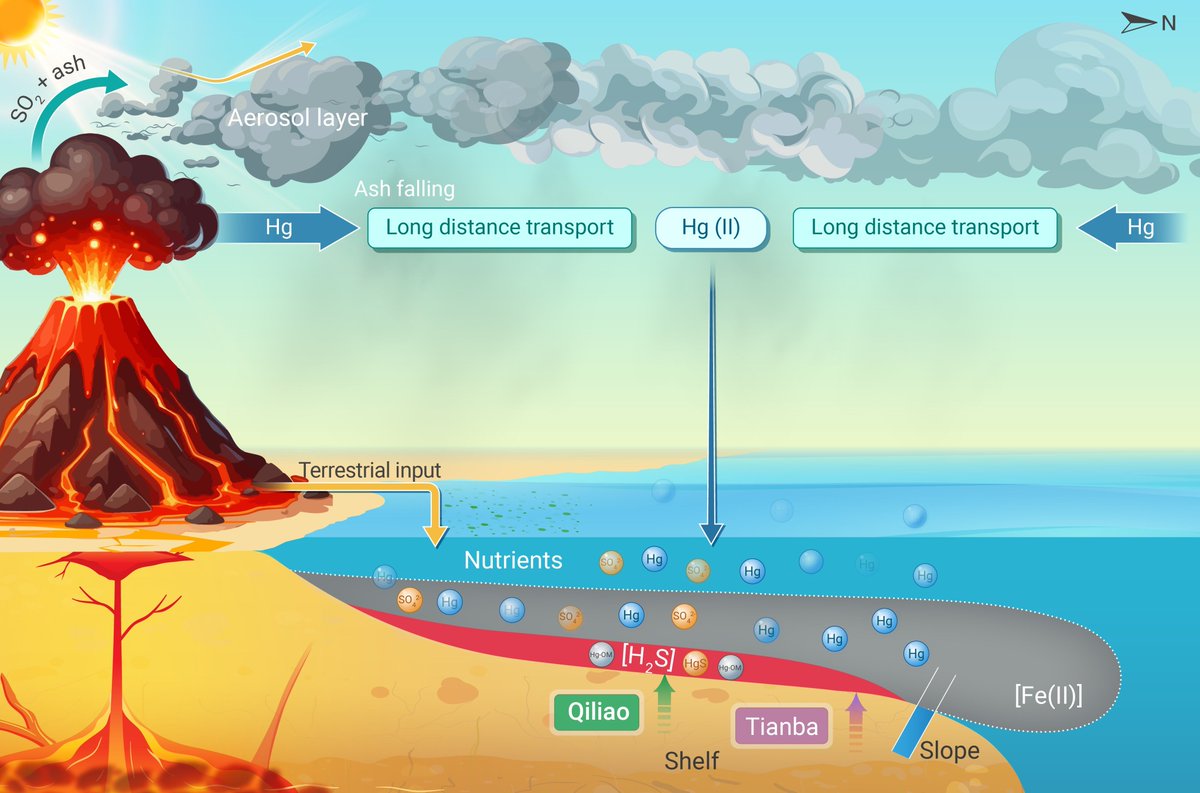 Innov_Geosci's tweet image. Mercury evidences link intensive volcanism to the Late Ordovician mass extinction and changes in the atmosphere-land-ocean system. Read more doi.org/10.59717/j.xin…
#Geosciences #research #TIC2025