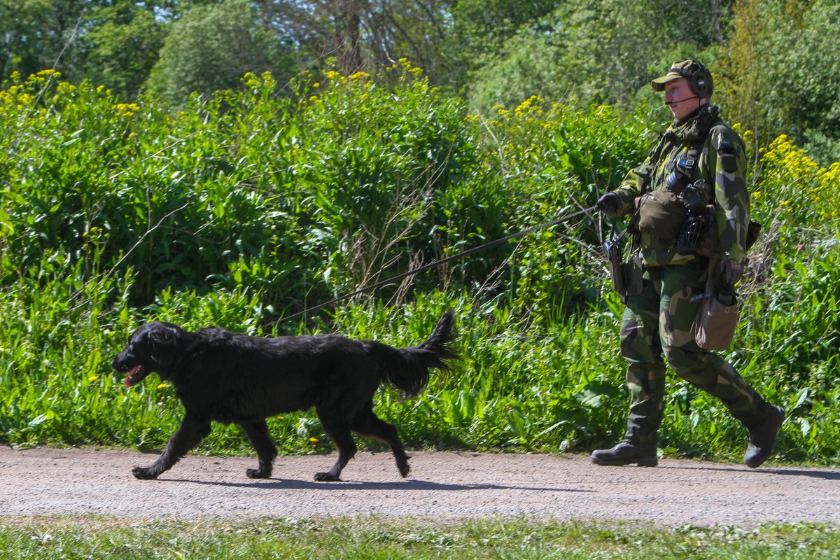US_SOCEUR's tweet image. Regular exercises = enhanced readiness! Joint training with our Swedish Home Guard Allies ensures we're ready to defend NATO together by strengthening the northern flank.
#SOFinEurope #StrongerTogether #AlwaysTraining @USSOCOM