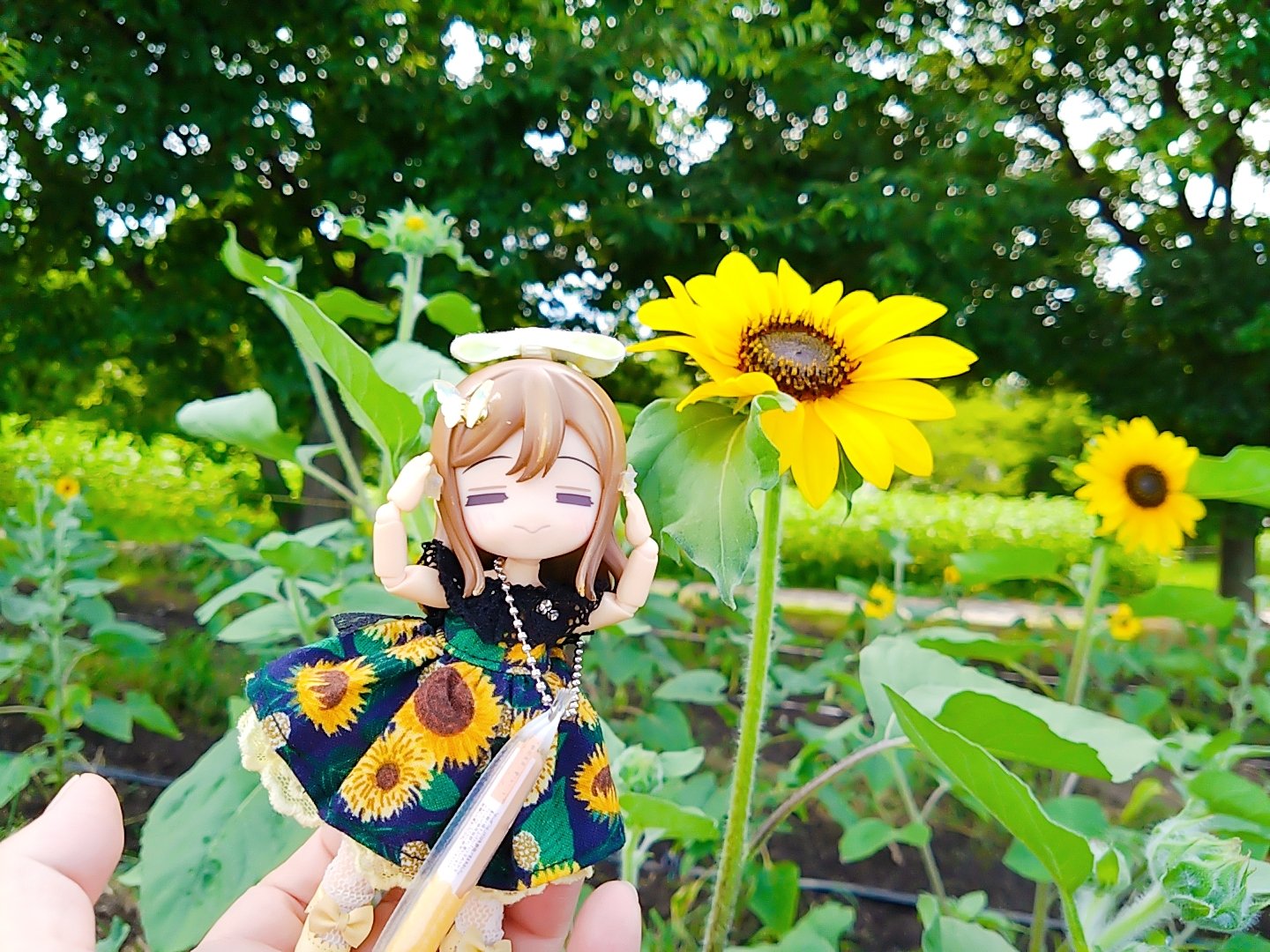 ひまわり様♡ グンマーかあちゃん on X: 