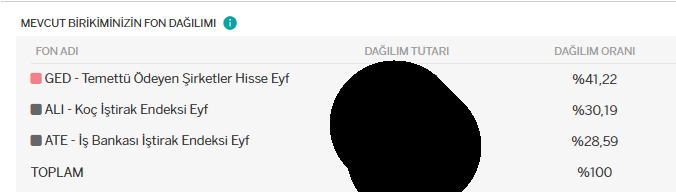 nurisevgen's tweet photo. BİST 8800 civarındayken yayınlarda da söylediğim gibi %100 hisse fonuna geçmiştim. Hala da durumda bir değişiklik yapmadım
Fonlar ve dağılımım aşağıda https://t.co/GwUzMtrMDu