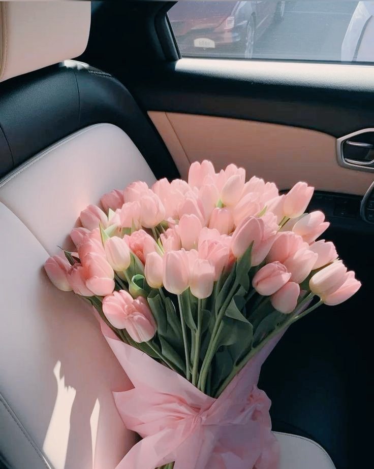 blossom library (@blossom_library) on Twitter photo 