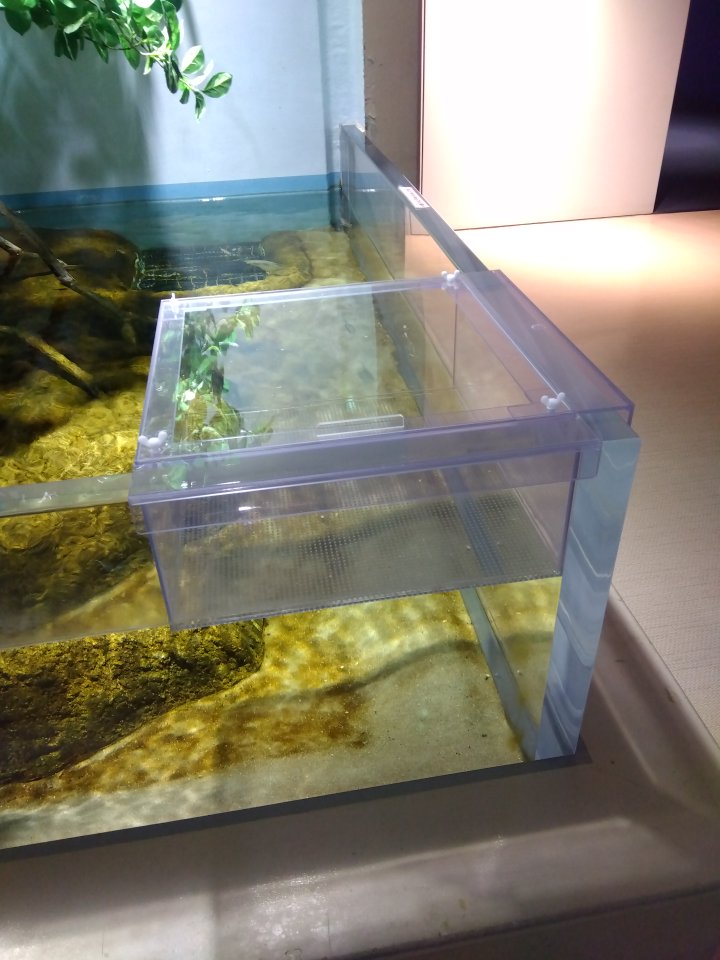 株)熱帯園 (@nettaien1) / Posts / X