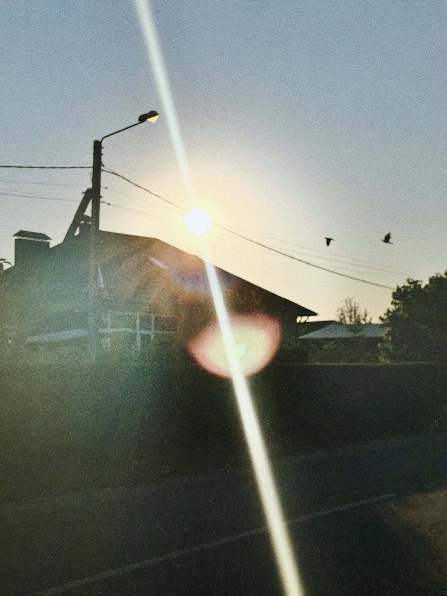 Finding beauty in the mundane.