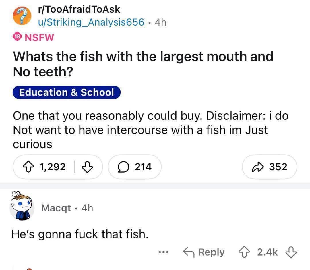 MiddleWingMan's tweet image. I love the internet 🤣