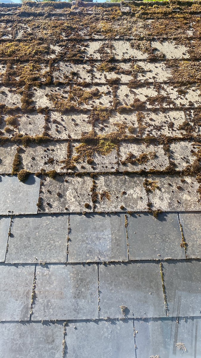 Nigel McKinney (@nigelmckinney) on Twitter photo .<a href="/bbcradioulster/">BBC Radio Ulster</a> asbestos is safe depending on type & how treated. Here is a pic of “suspected asbestos”. It would need tested in accredited laboratory to confirm. I’ll not be out there breaking it up, scrubbing it with a wire brush & so on. If it needed removed I’d follow H&S .<a href="/bbcradioulster/">BBC Radio Ulster</a> asbestos is safe depending on type & how treated. Here is a pic of “suspected asbestos”. It would need tested in accredited laboratory to confirm. I’ll not be out there breaking it up, scrubbing it with a wire brush & so on. If it needed removed I’d follow H&S