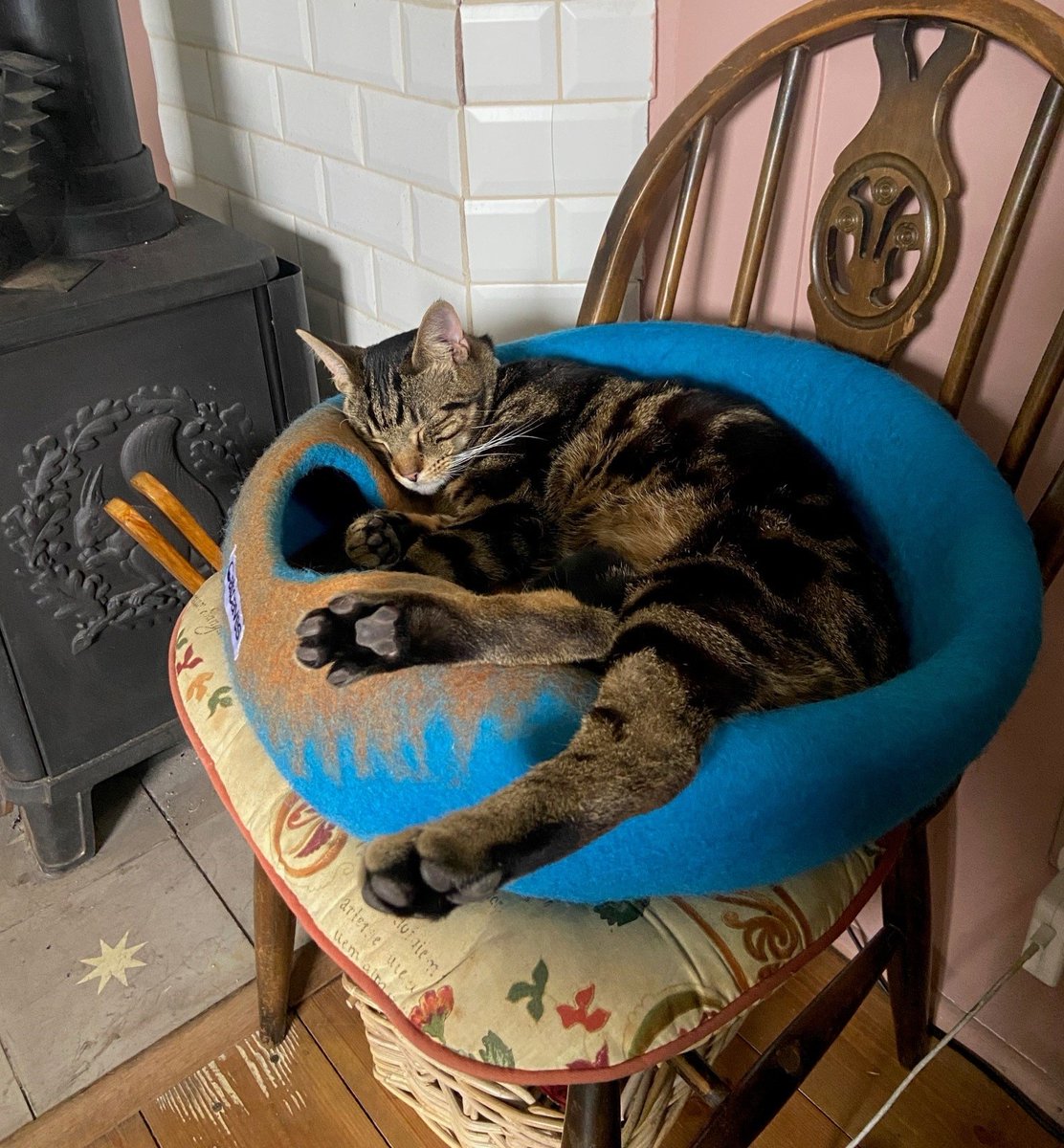 themayhew's tweet image. Momo set sail on his biggest adventure... his forever home! His family shared: "He’s settled in really well to boat life and we’ve totally fallen in love with him. He is the sweetest little thing in the world who is so playful and inquisitive and loves cuddling." #HappilyRehomed