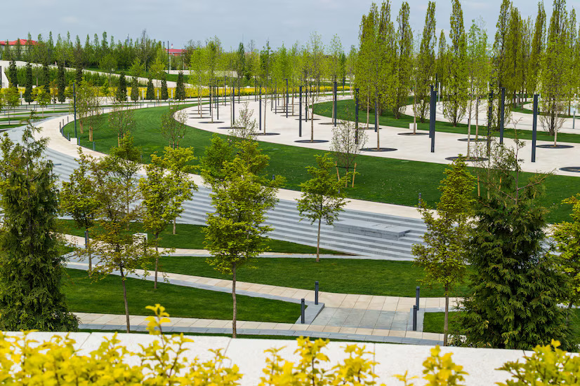 OliviaT5328451's tweet image. Make your outside space pop with less water. Get the best ideas for a pretty, eco-friendly yard that needs minimal watering.

Read More: shorturl.at/zKsrn

#landscapedesign #LandscapedesignServices #professionallandscapedesign #residentiallandscaping