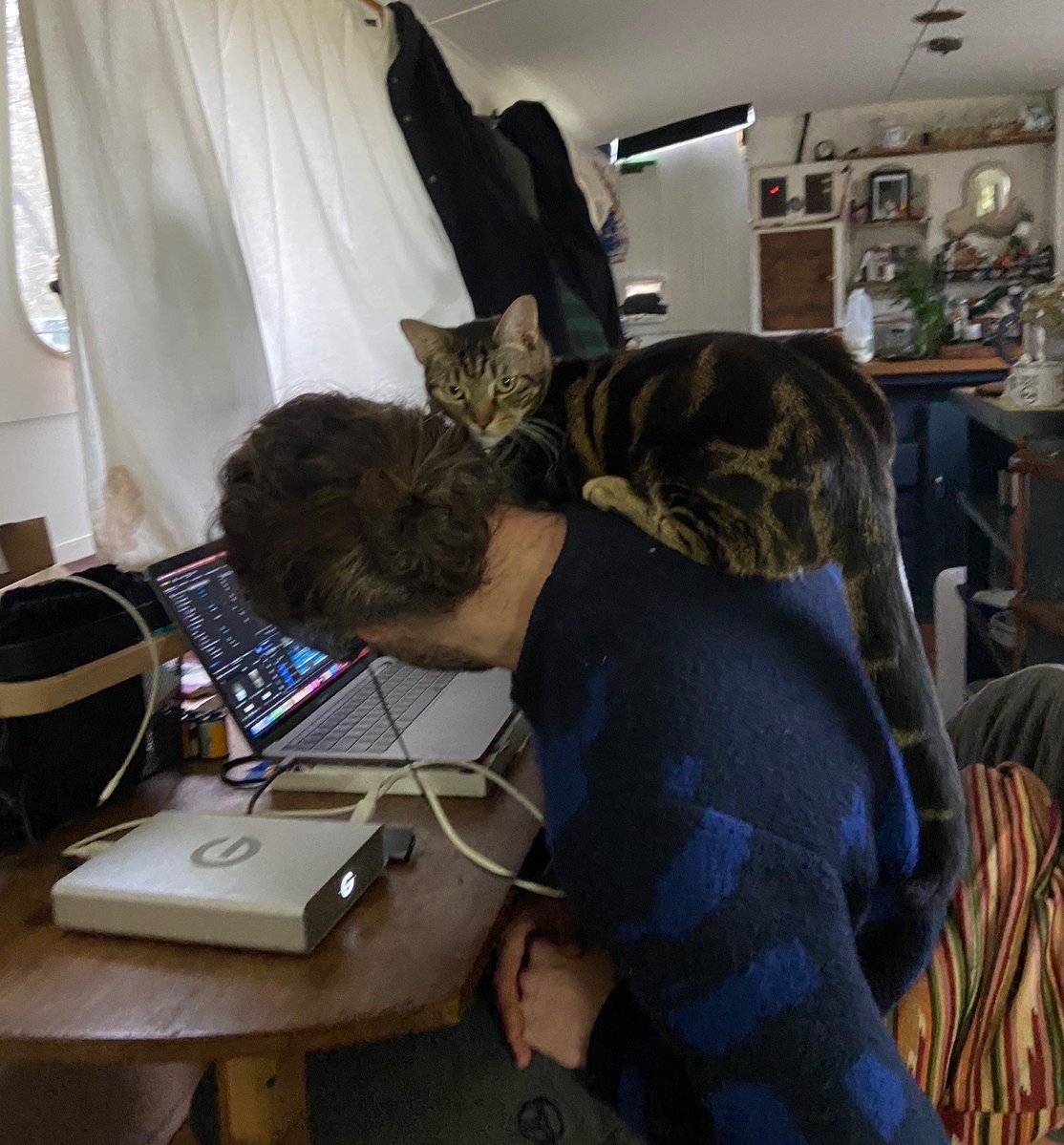 themayhew's tweet image. Momo set sail on his biggest adventure... his forever home! His family shared: "He’s settled in really well to boat life and we’ve totally fallen in love with him. He is the sweetest little thing in the world who is so playful and inquisitive and loves cuddling." #HappilyRehomed