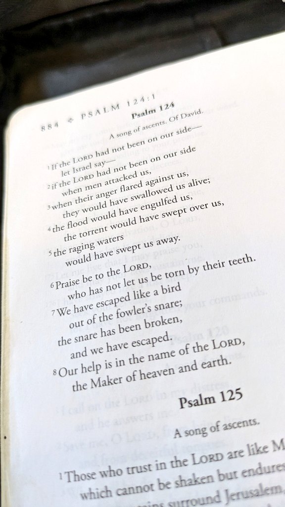 davidjamessims's tweet image. What a great reminder this morning at morning prayers- our hope is in the name of the Lord.