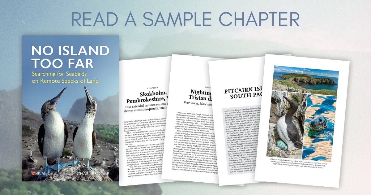 pelagicpublish's tweet image. New on the blog! Read a sample chapter of No Island Too Far by Michael Brooke, due for publication later this month!

Take a look ➡️ tinyurl.com/jybu4hp9

#noislandtoofar #remoteislands #isolatedcommunities #pitcairnislands #outerhebrides #galapagos