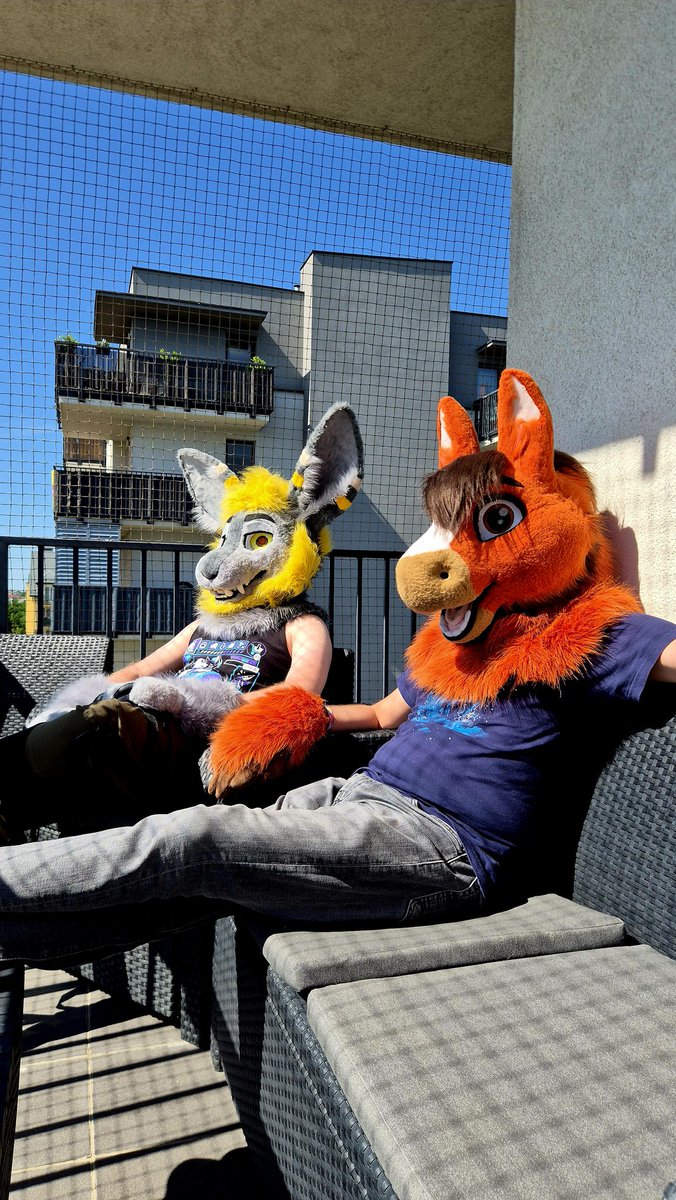 Kicek 🥕 tweet media