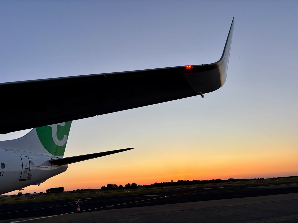 F.✈️⭐️ tweet media