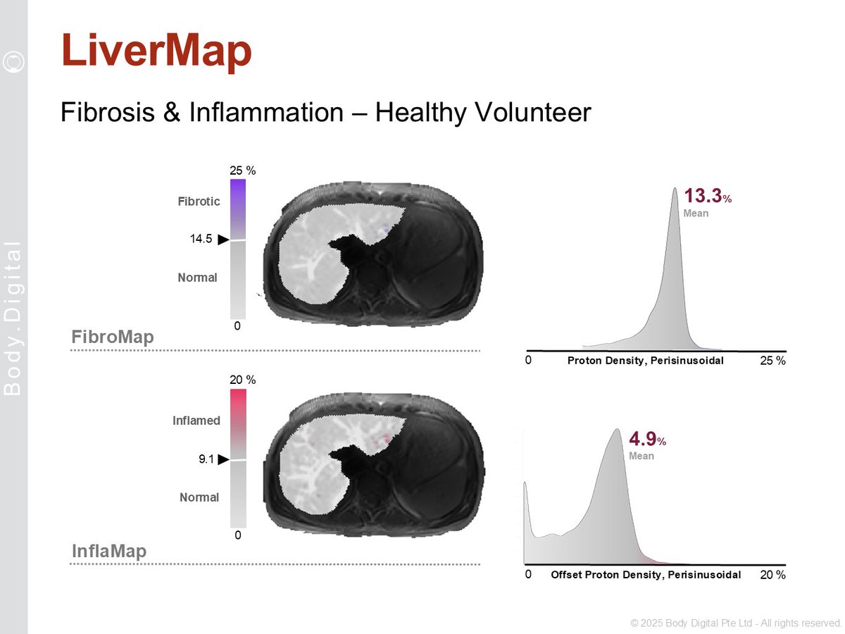 Body Digital tweet media
