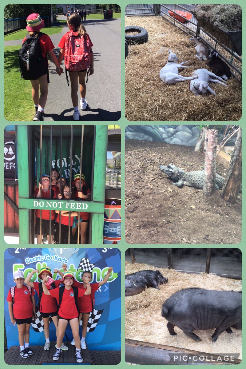 Maes Y Morfa (@ysgolmym) on Twitter photo Year 4 folly farm trip Year 4 folly farm trip