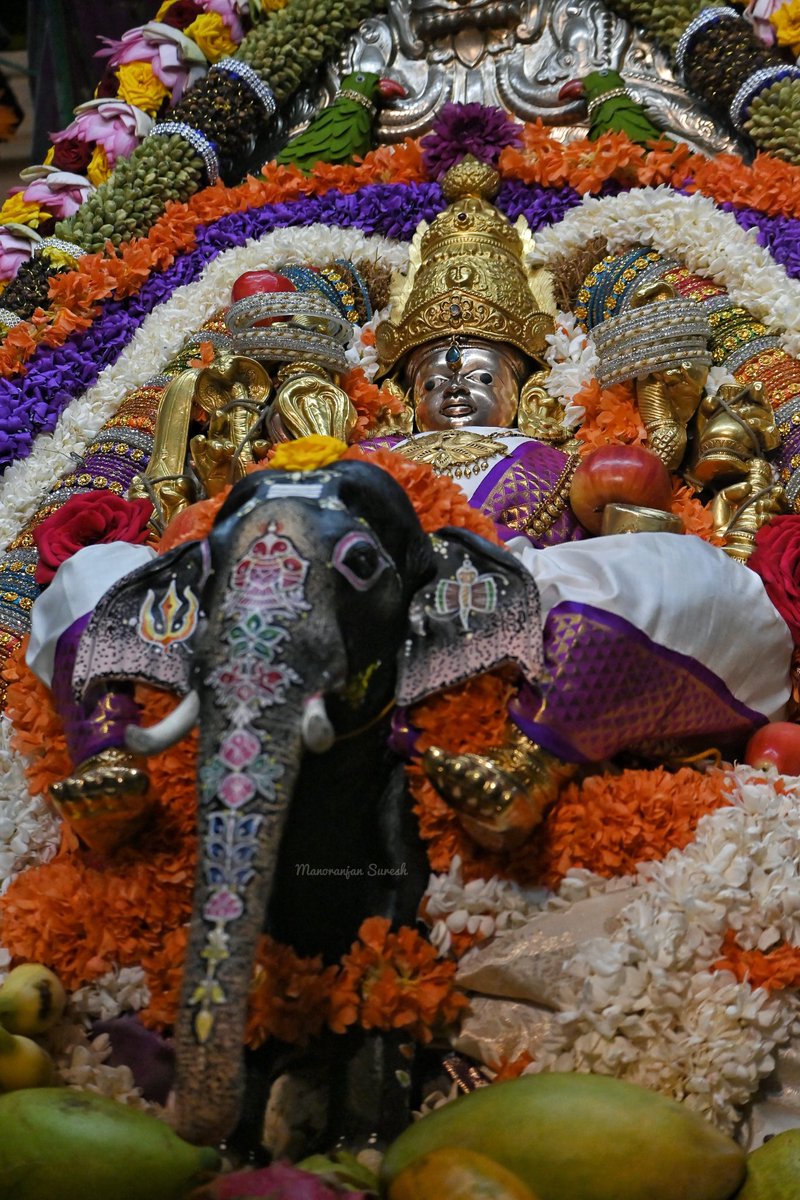 ಮೂರನೇ ಆಷಾಡ ಶುಕ್ರವಾರ ತಾಯಿ ಚಾಮುಂಡೇಶ್ವರಿಗೆ ಗಜಲಕ್ಷ್ಮೀ ಅಲಂಕಾರ 🙏🏼

#chamundibetta #ashada #Chamundeshwari