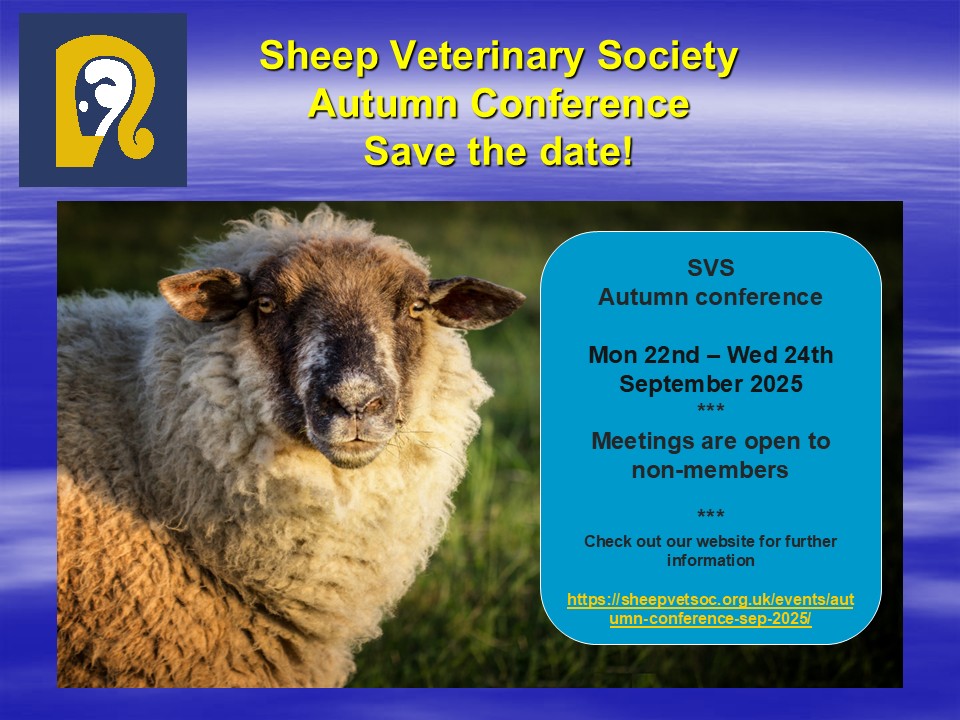 SheepVetsoc's tweet image. Our next date for your diary - SVS Autumn Conference 2025 
Metropole Hotel Venue &amp;amp; Spa in Llandrindod Wells
Date: 22nd – 24th September 2025
Open to non-members too!
Watch our website for further info to follow: sheepvetsoc.org.uk/events/autumn-…
#teamsheep #CPD #sheepvets