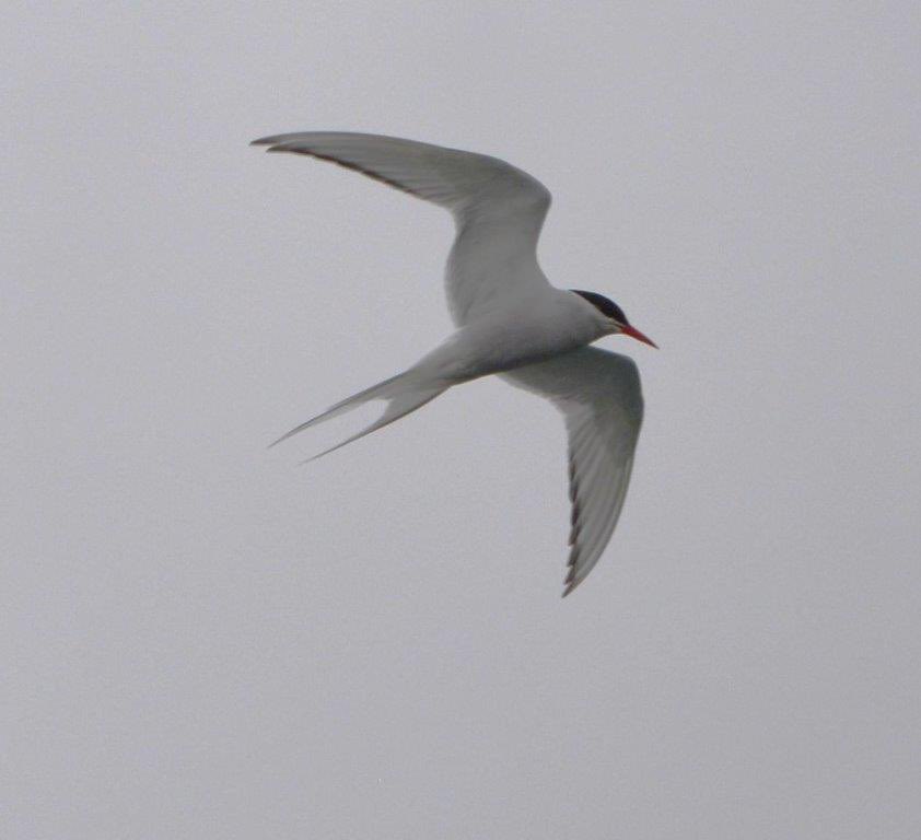<a href="/cranky1456/">Trebor 1456</a> Happy #FlyDay everyone 
3 more photos from my Iceland trip